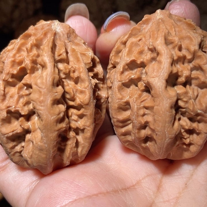 把件文玩核桃东北楸子小雪110