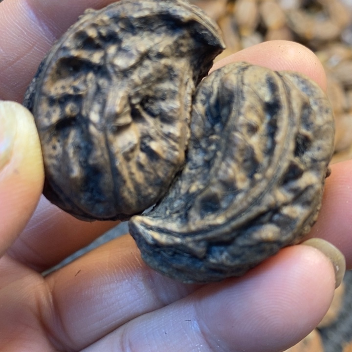 文玩核桃吊坠娜姐14