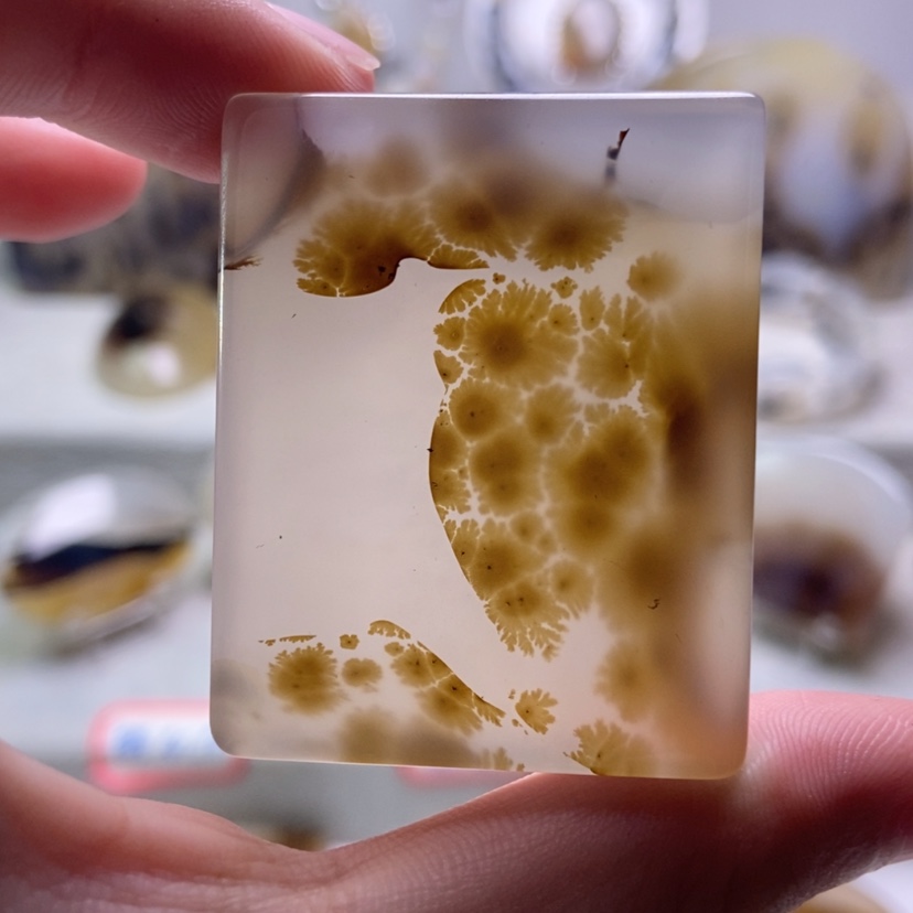 【闪购商品】未镶嵌玛瑙/玉髓珠宝奇石