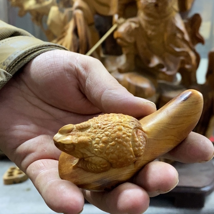 柏木（崖柏）崖柏1