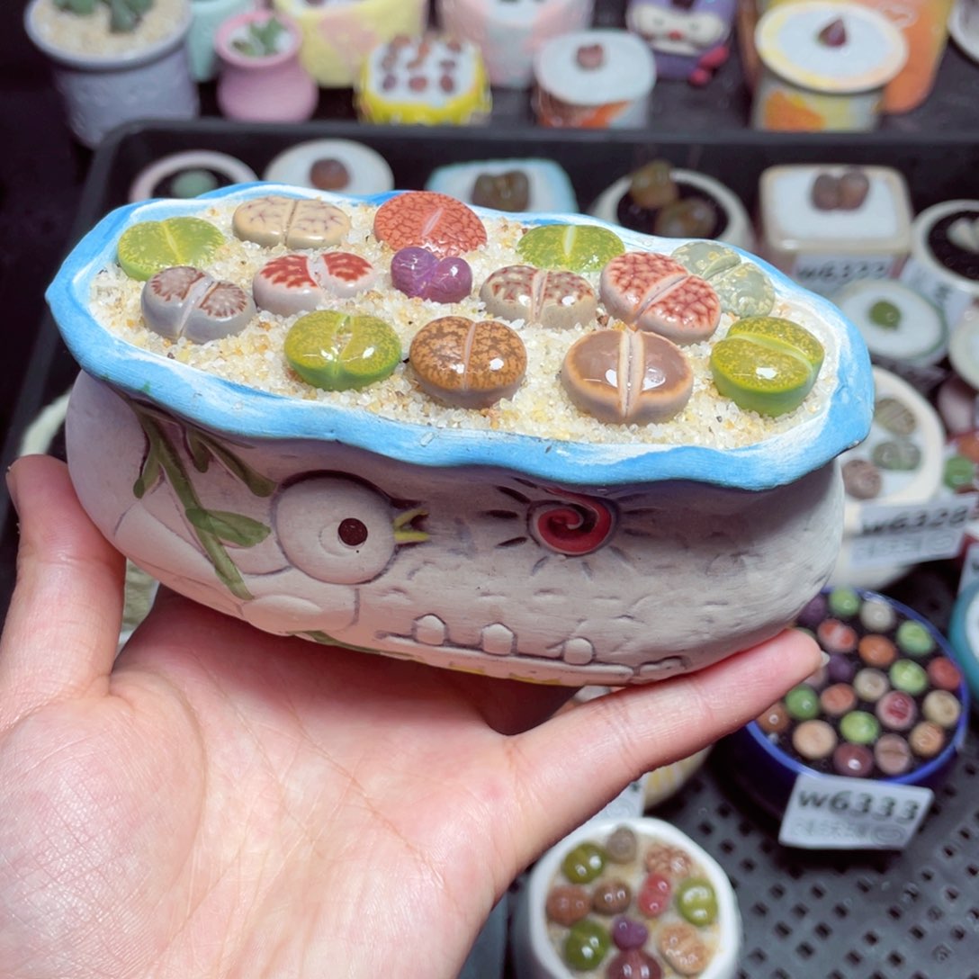 w6340 -零下地区拍保温箱-15支持寄养