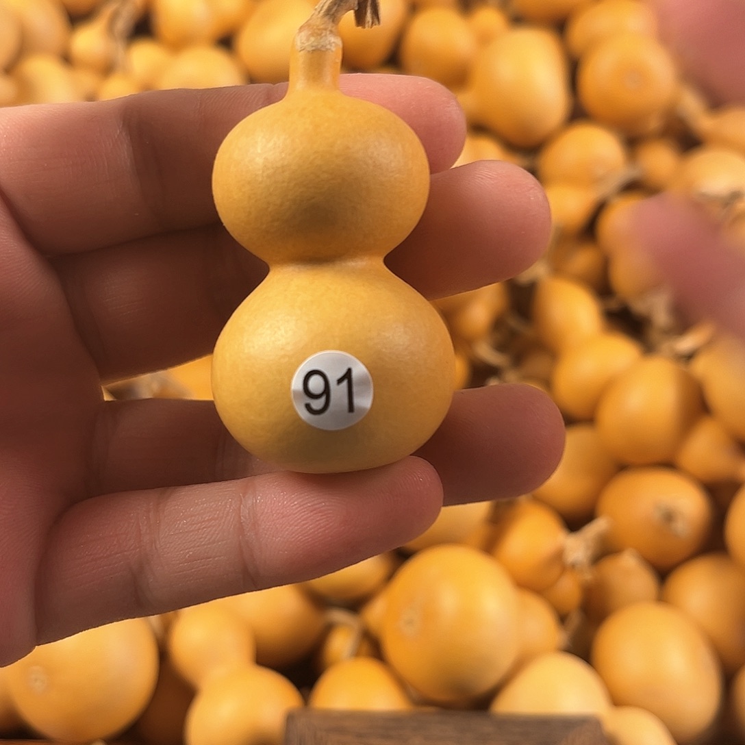 三葫芦葫芦葫芦葫芦91