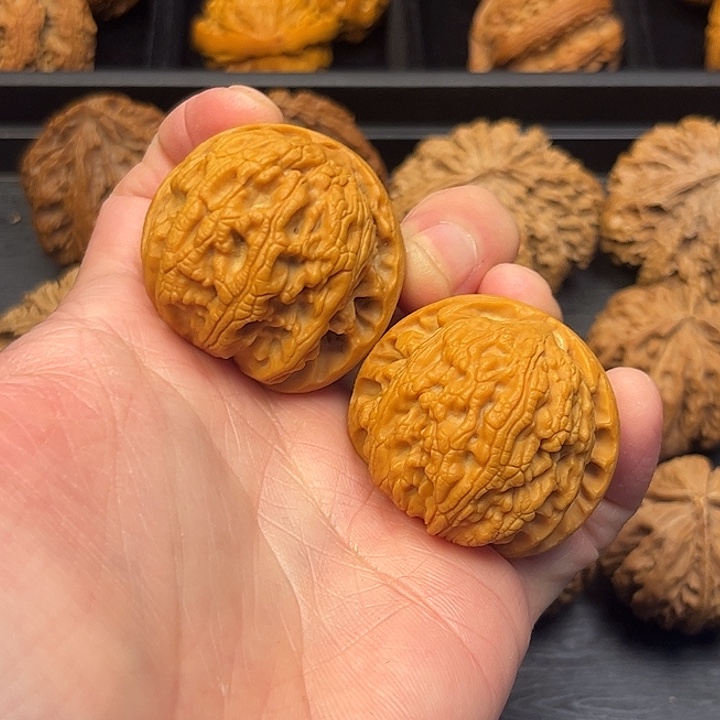 大叶紫檀（黑酸枝木类）