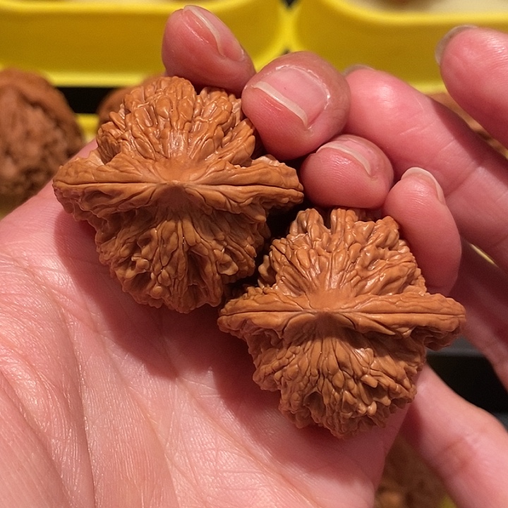 文玩核桃38尺全品虎头