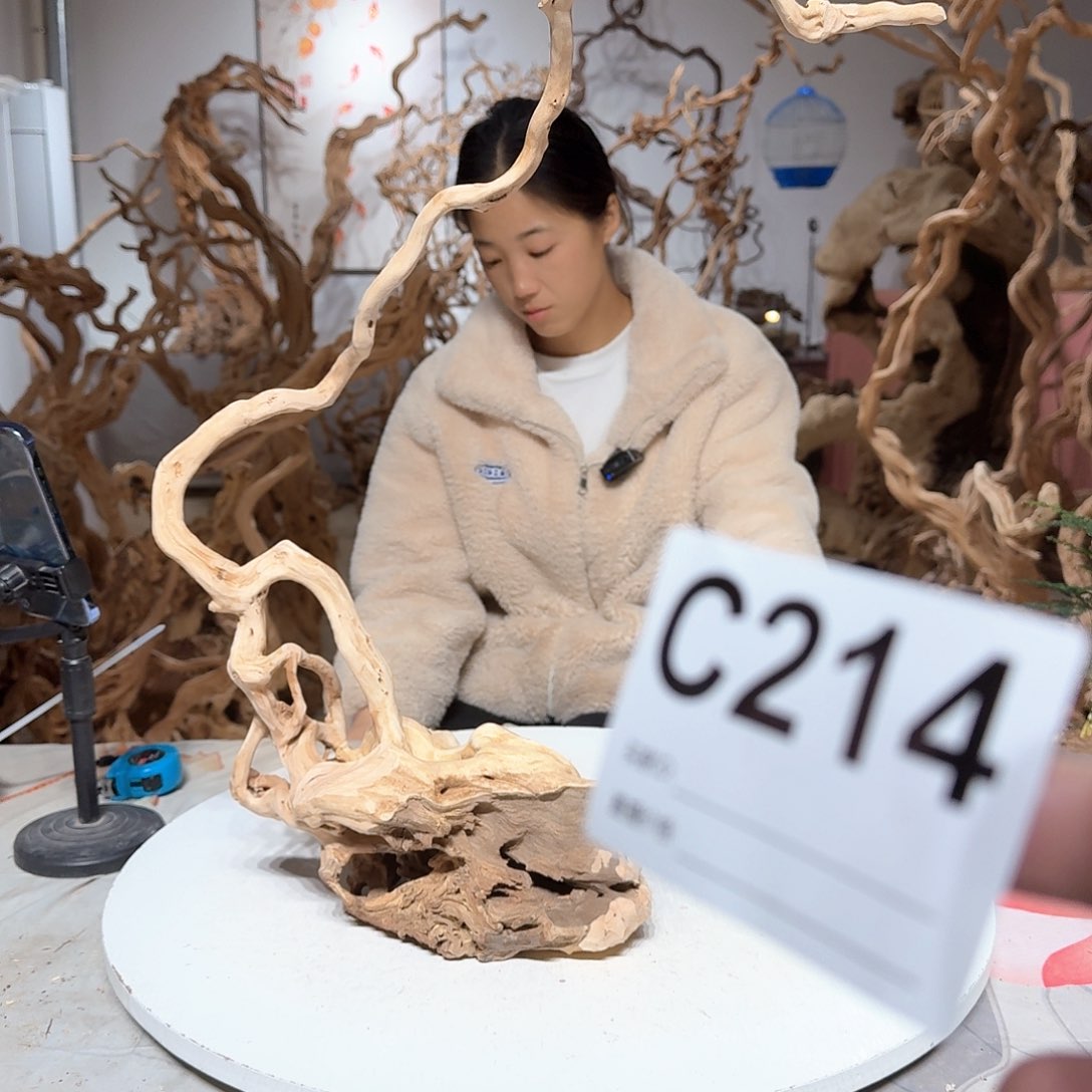 风车木（黑檀木）大*