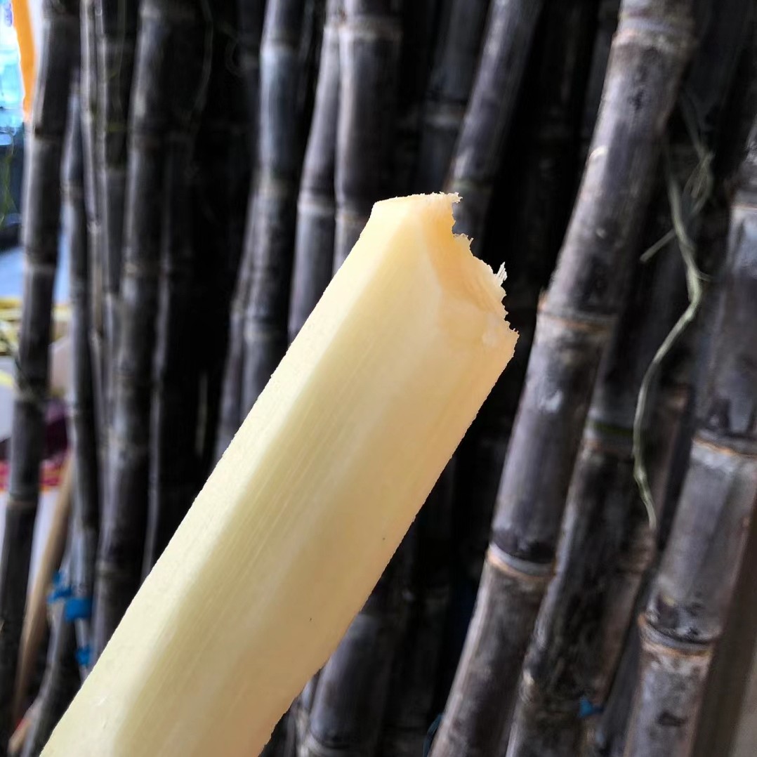 甘蔗一整根甜蜜蜜帮切皮