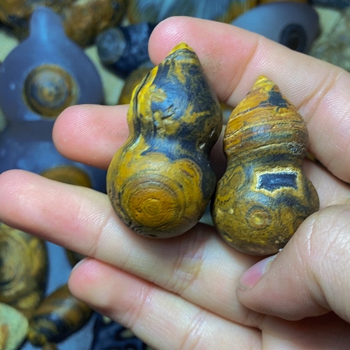 李***.大叶紫檀（黑酸枝木类）