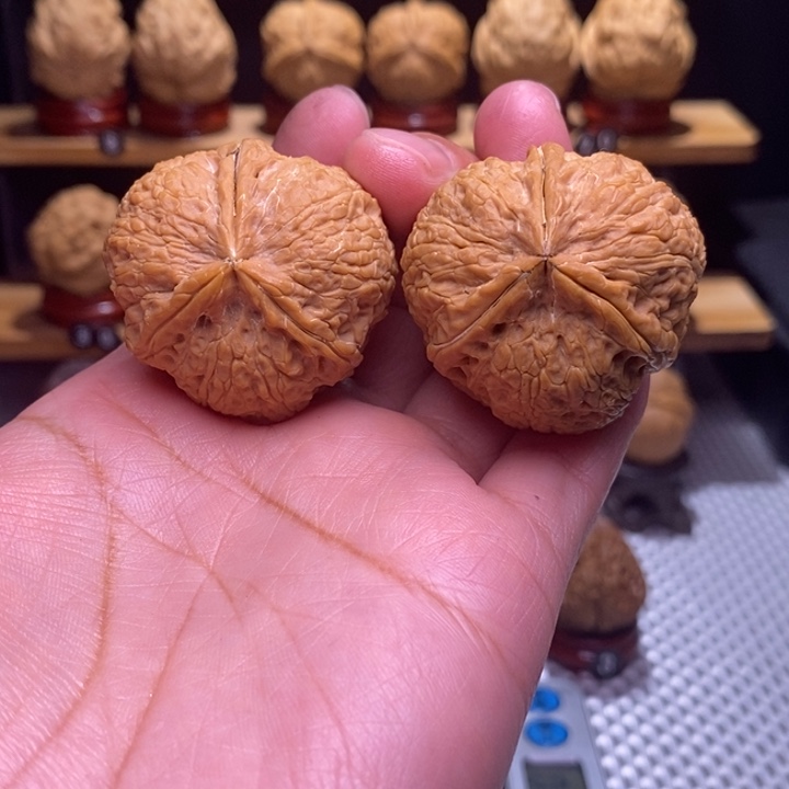 木质类云铁金山湖82号