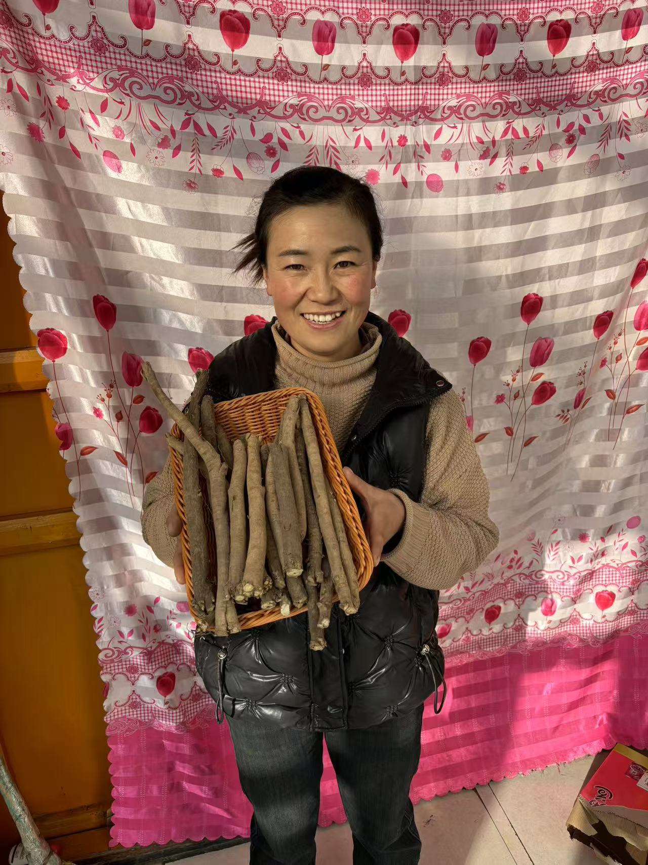 甘肃岷县精选种植黄芪大条原条