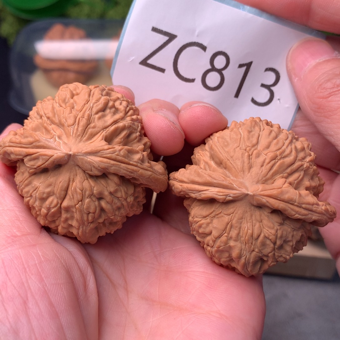 文玩核桃把件毕业粗筋红皮球白47