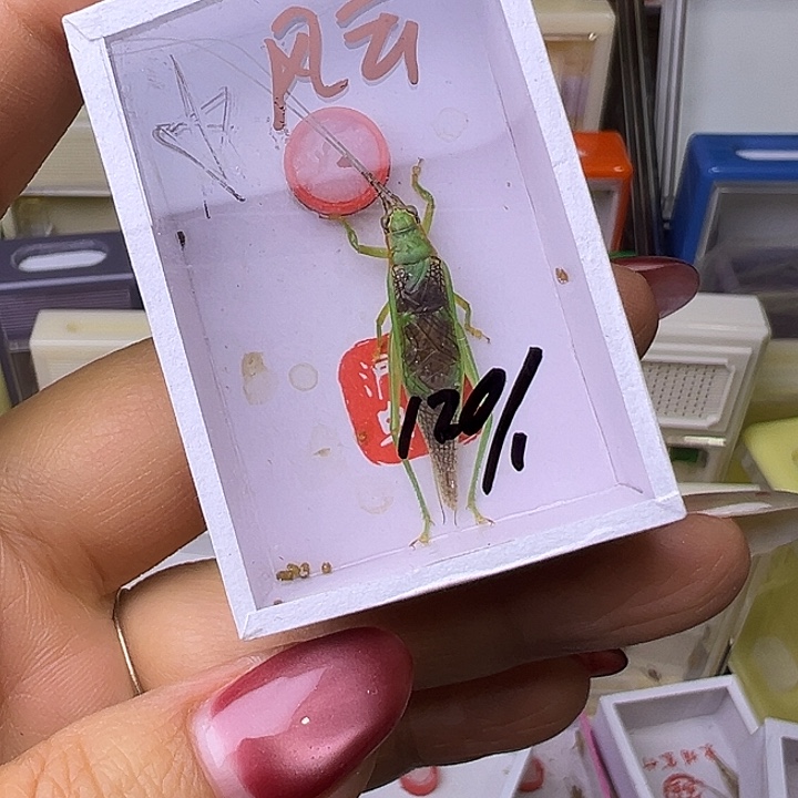 风***云哈哈哈哈哈哈哈哈哈哈哈哈哈