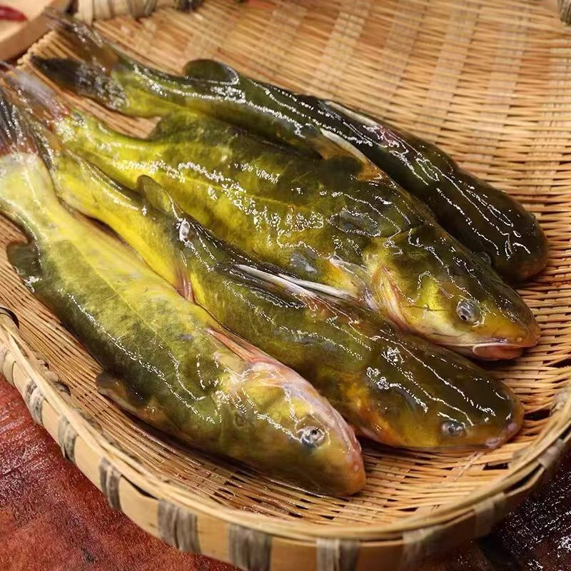 【7斤】东北冷水嘎呀鱼吉林产地