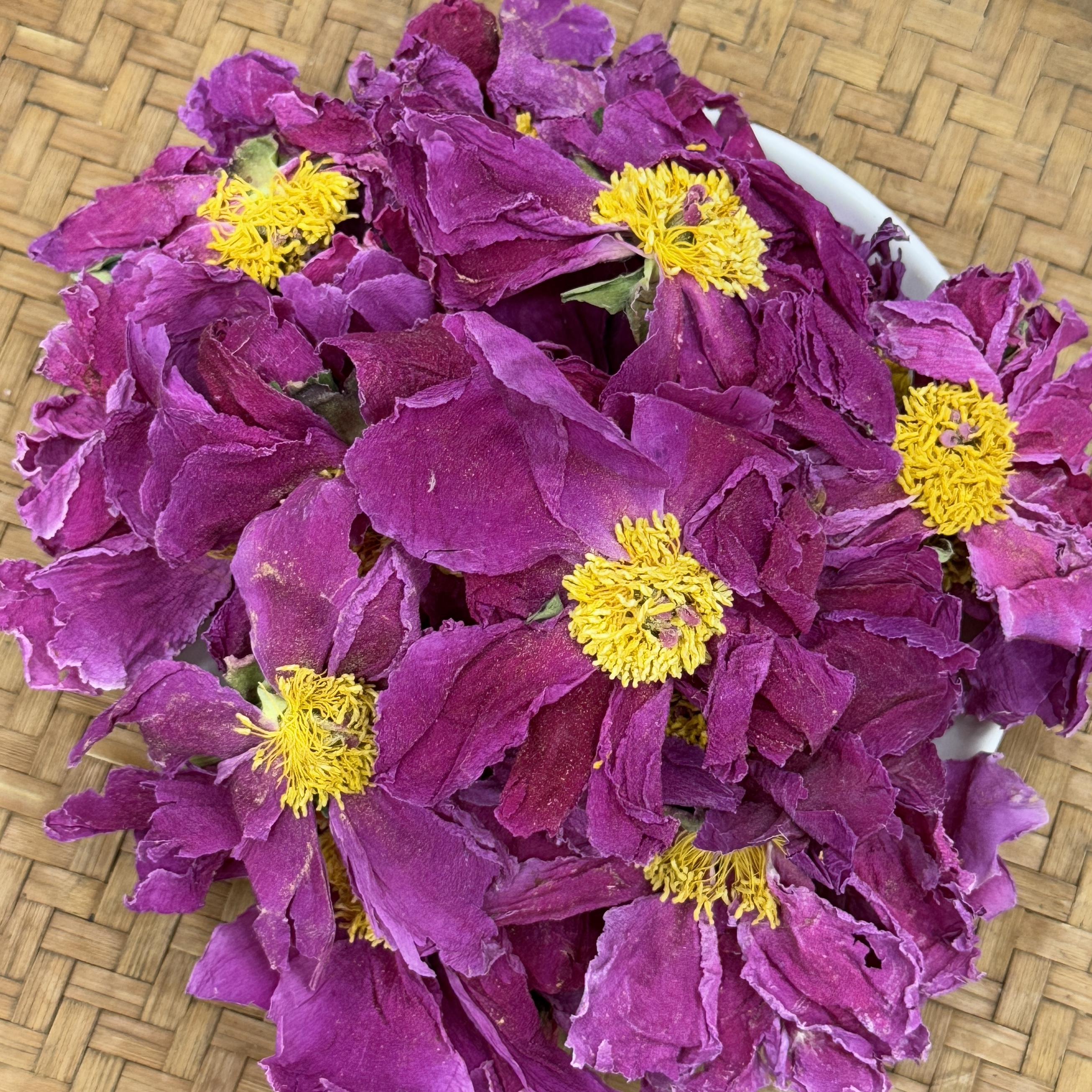 头茬芍药花冠   冬青收茶