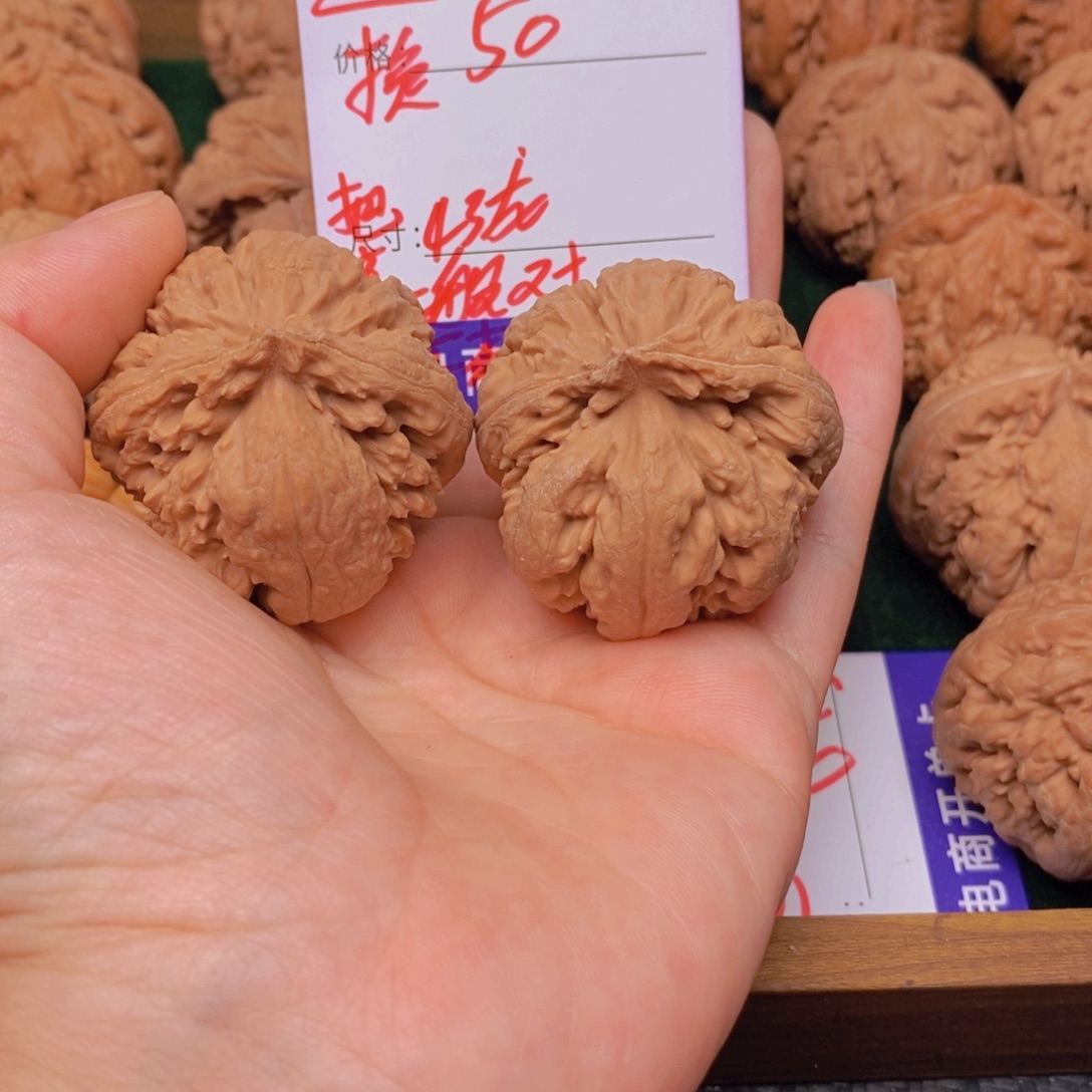 聆***色文玩核桃霸王龙核桃