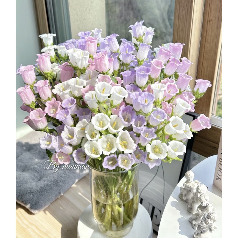 小朱【风铃花】    真花 鲜切花  一单中通，两单顺丰发货