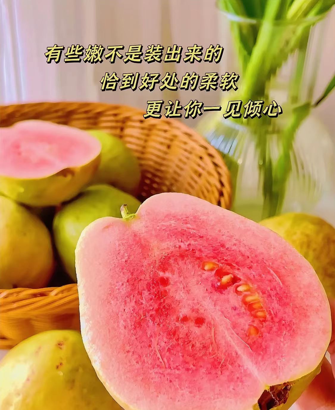 树上熟正宗软心红心白心番石榴芭乐红心芭乐软糯香甜应季水果