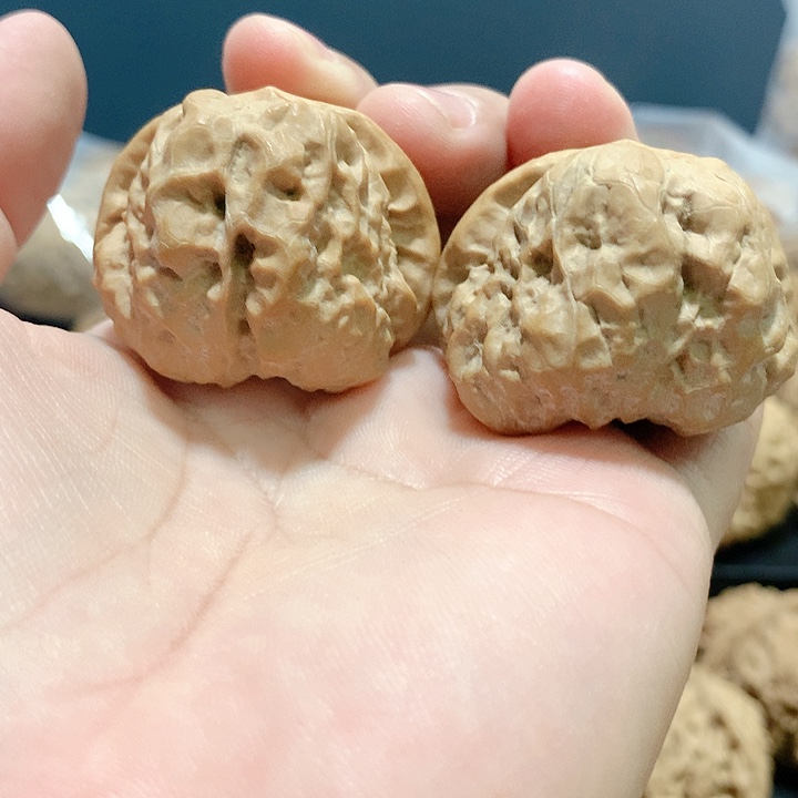 文玩核桃吊坠37蛤蟆