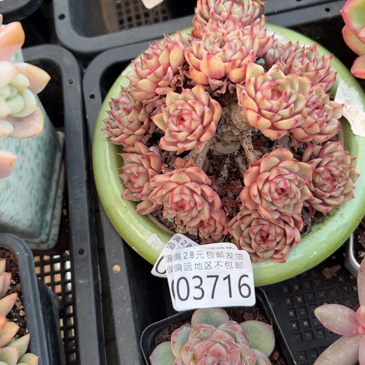 静****幸运的是我没有遇到过这样