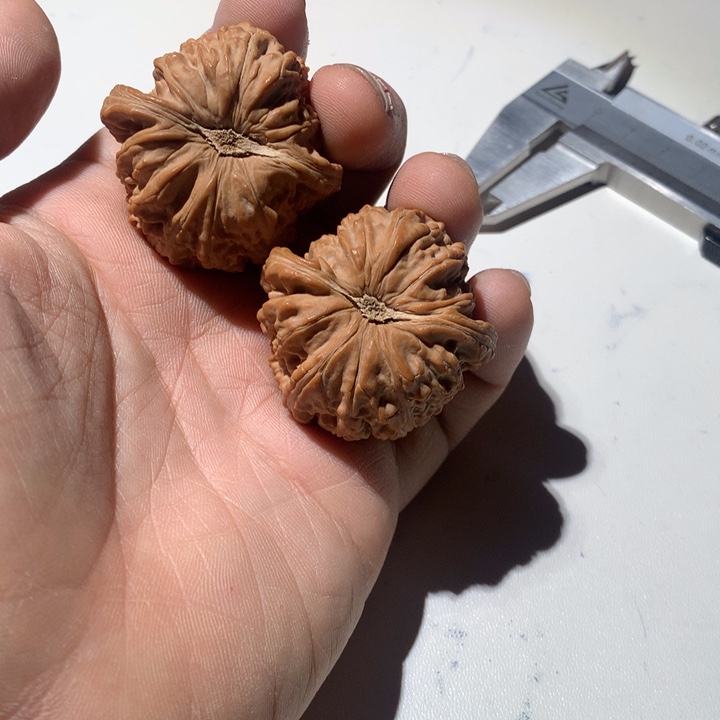 把件文玩核桃G*白狮子