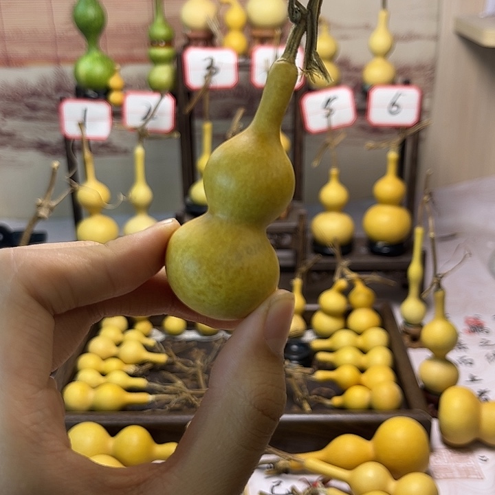 葫芦葫芦葫芦葫芦