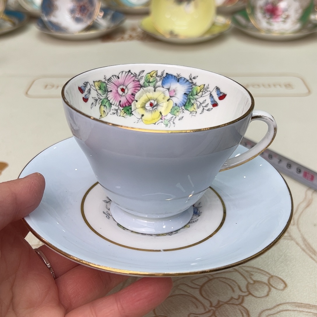 盘维多利亚欧洲中古