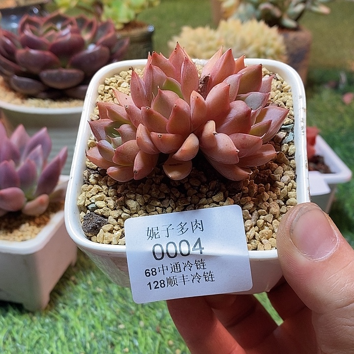 0004啊啊啊啊啊啊啊啊