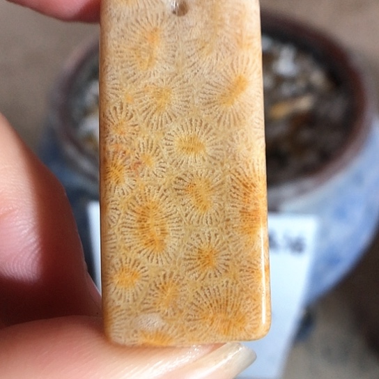 硅化玉吊坠未镶嵌