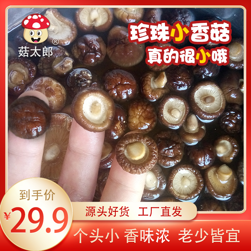 菇太郎小香菇干货特小香菇新货迷你冬菇金钱菇珍珠香菇批发