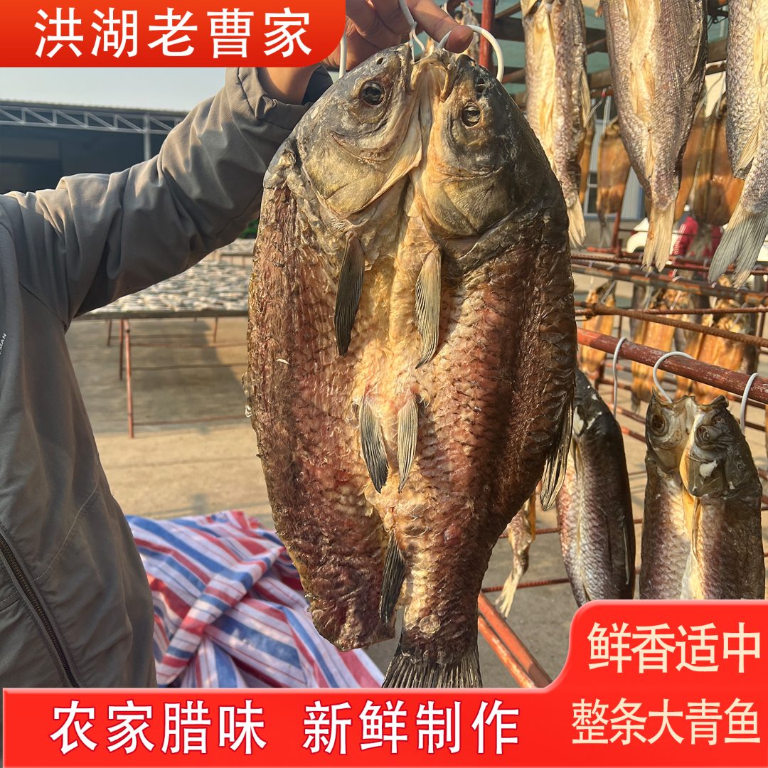 阳干大青鱼湖北洪湖特产手工腌制整条大青鱼腊鱼7-8成干咸淡适中