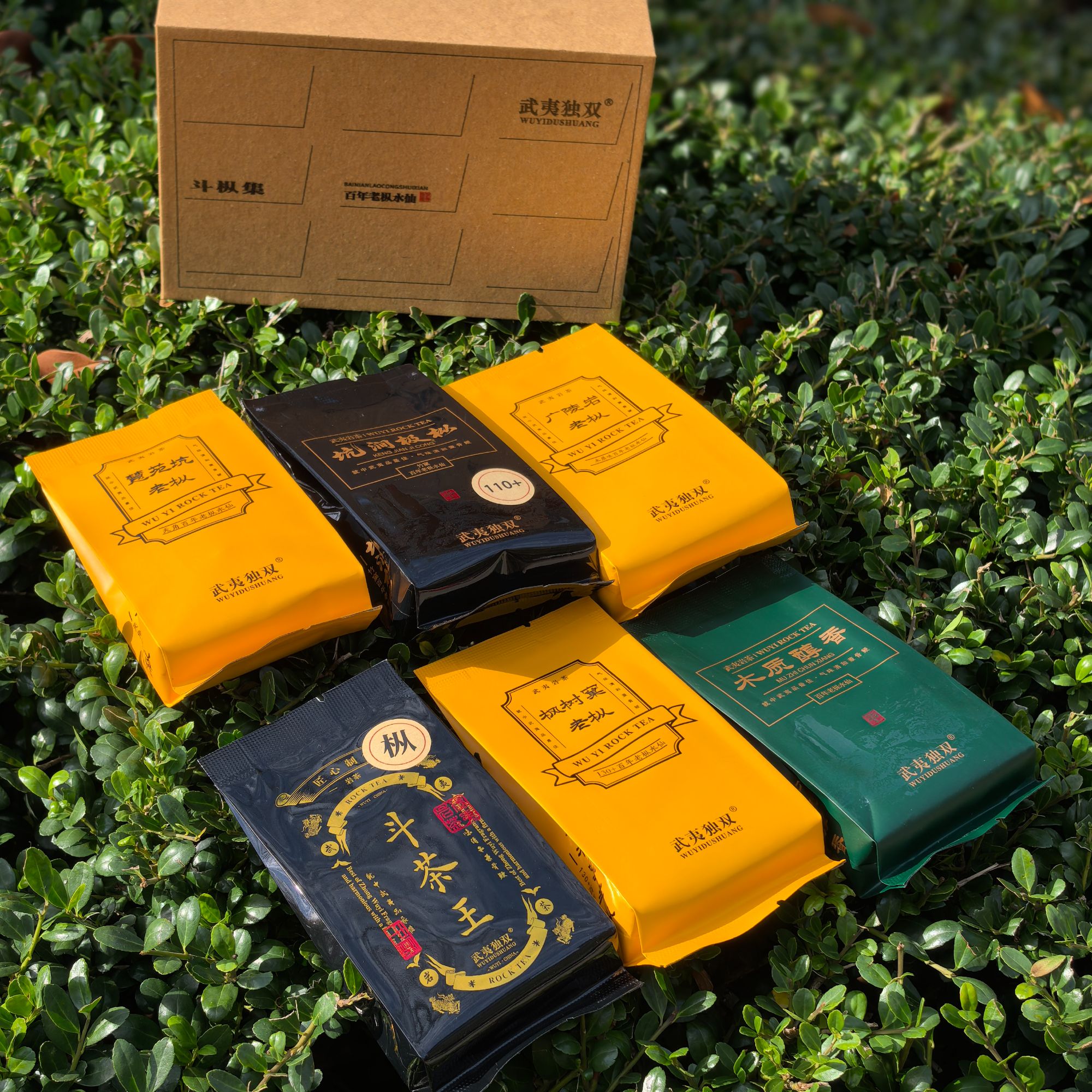 斗枞集-百年老枞高货组合六款武夷正岩茶60克体验装