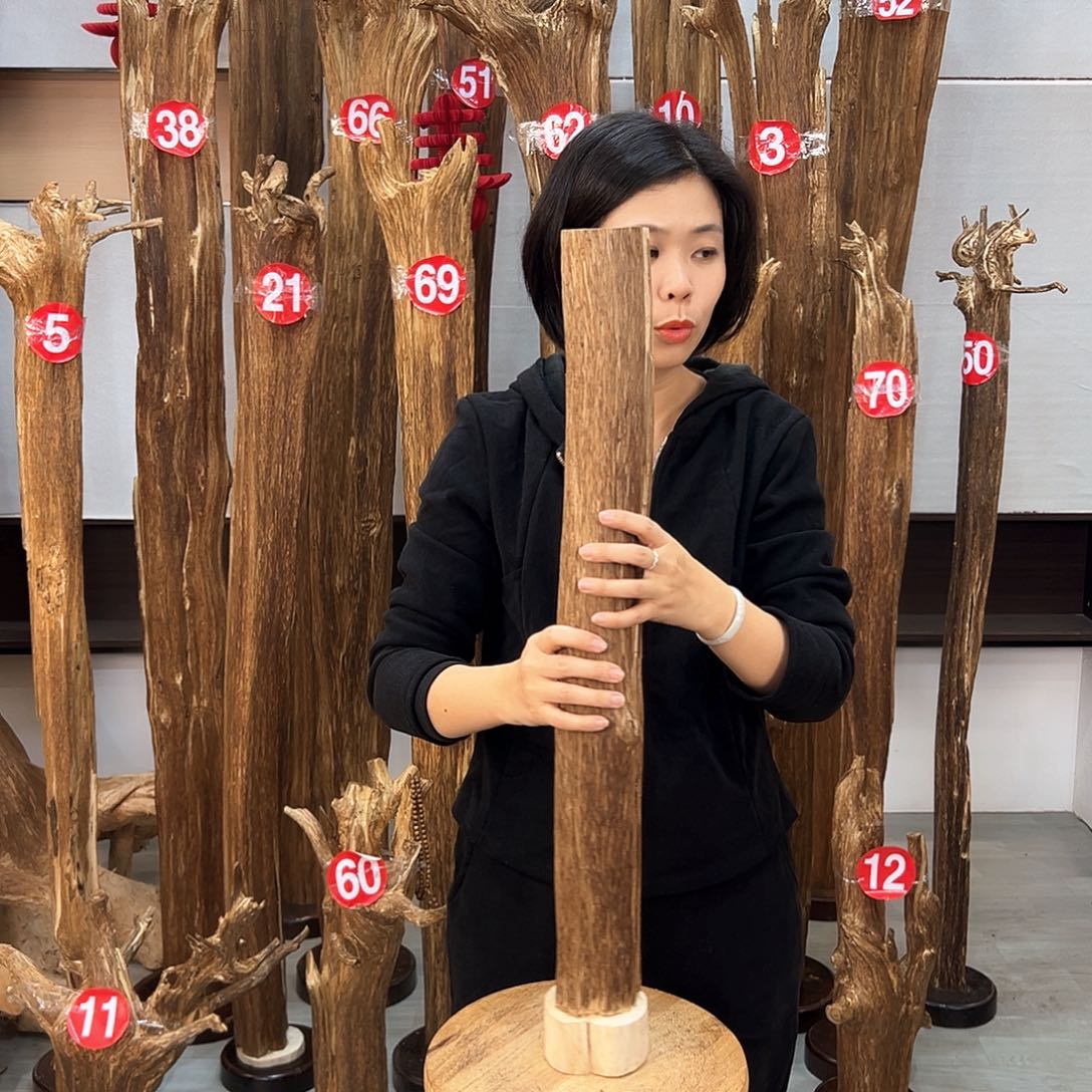 沉香摆件海南沉香摆件