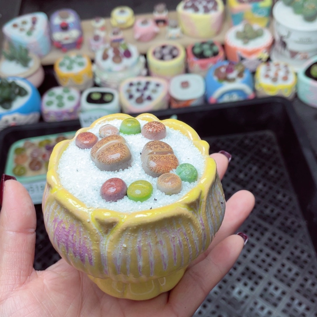 w5197 -零下地区拍保温箱-15支持寄养