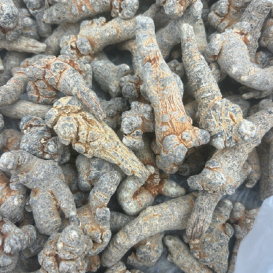 【正宗三七】l滑头三七可冲饮泡水煲汤