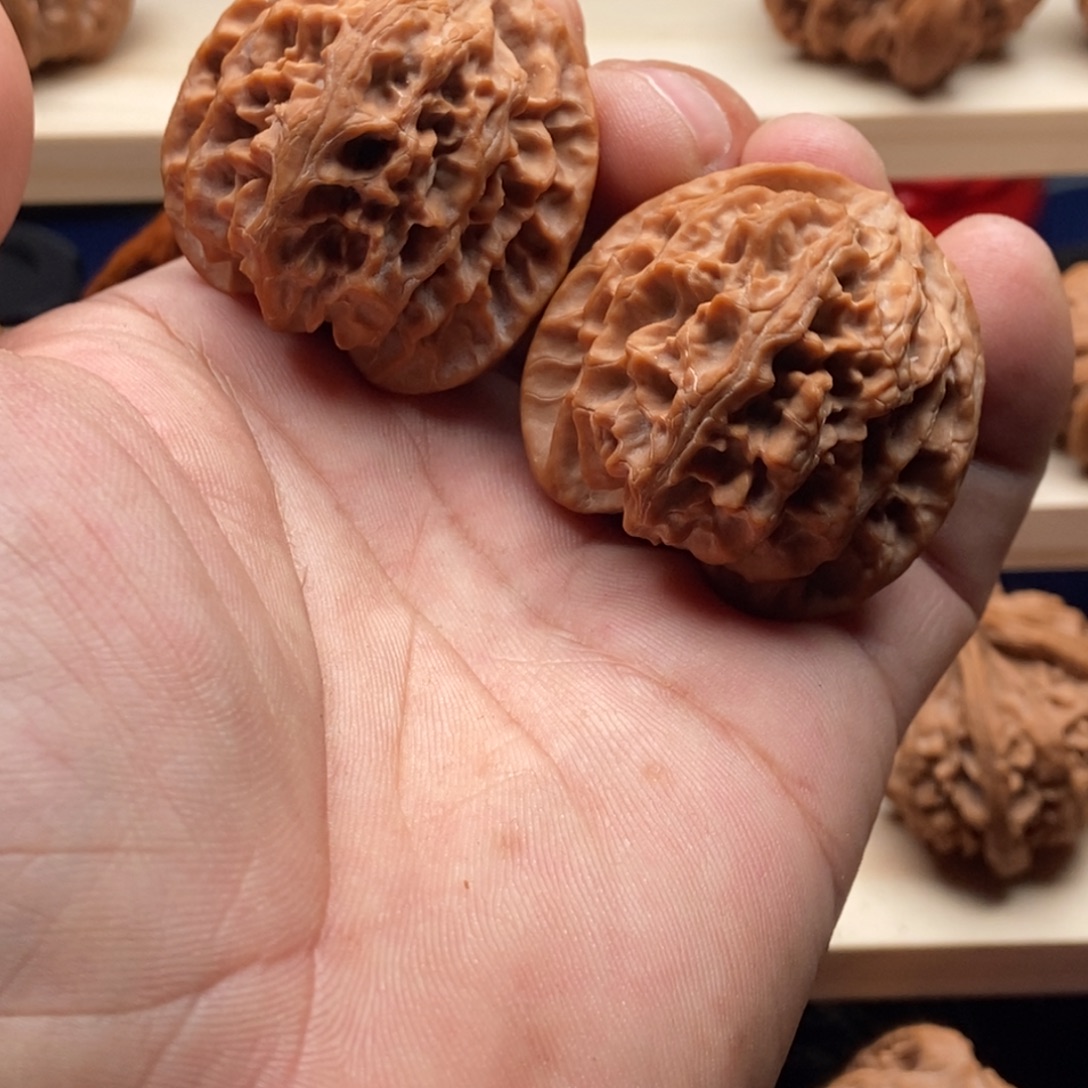 H***y木质类苹果园狮子头