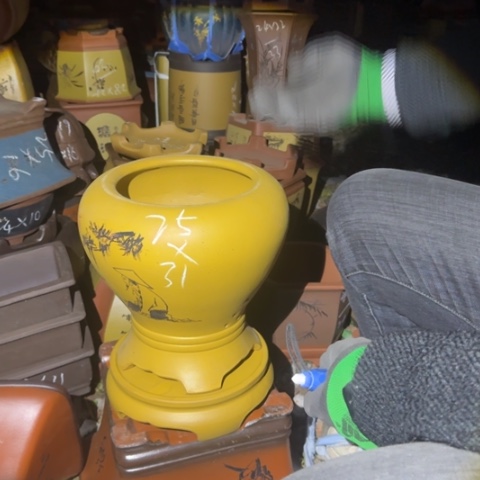 红陶紫砂花盆盆景盆栽