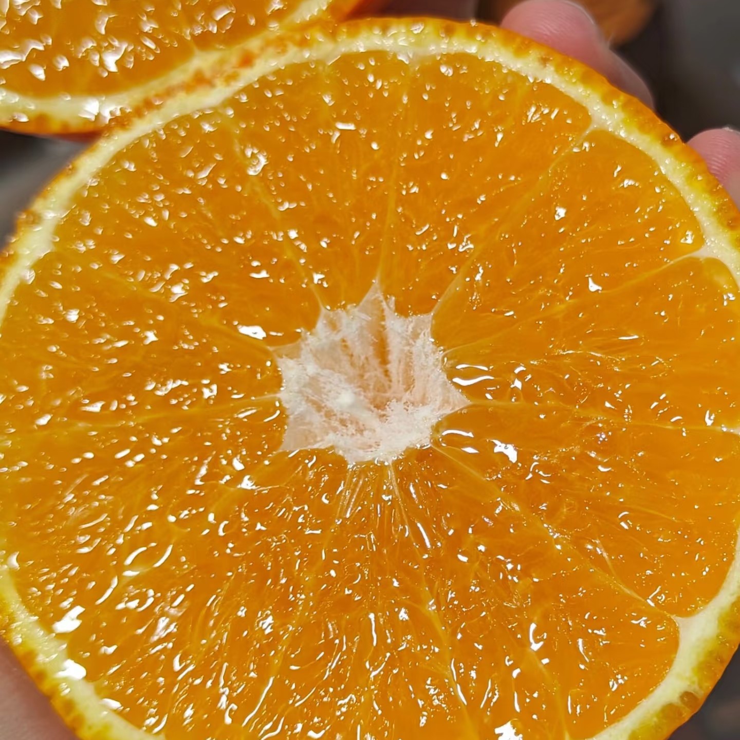 （宝瑞优品）爱媛果冻橙带箱9斤左右