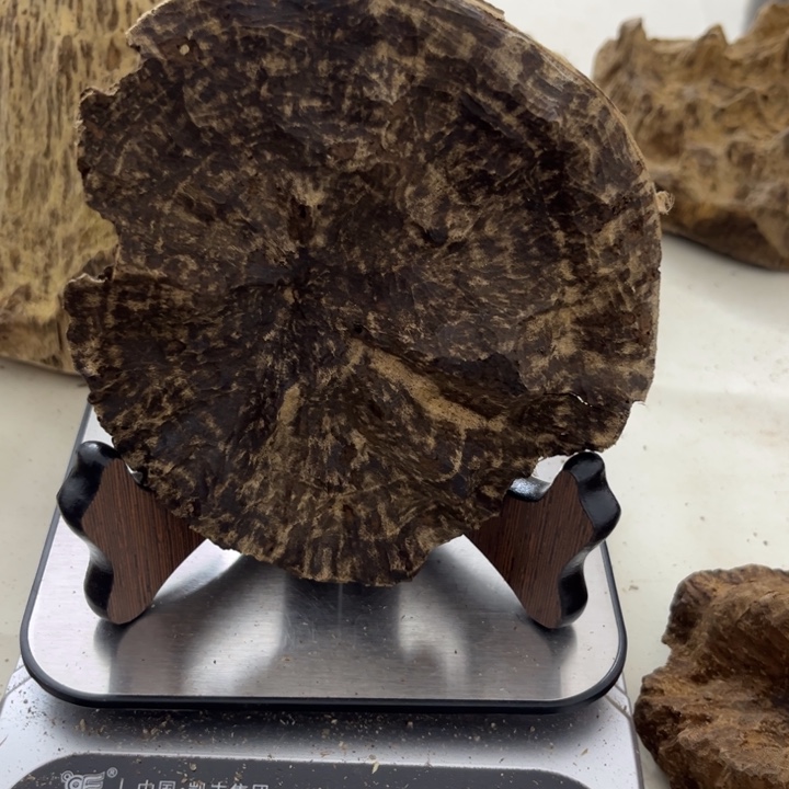 沉香沉香木制品海南沉香31克