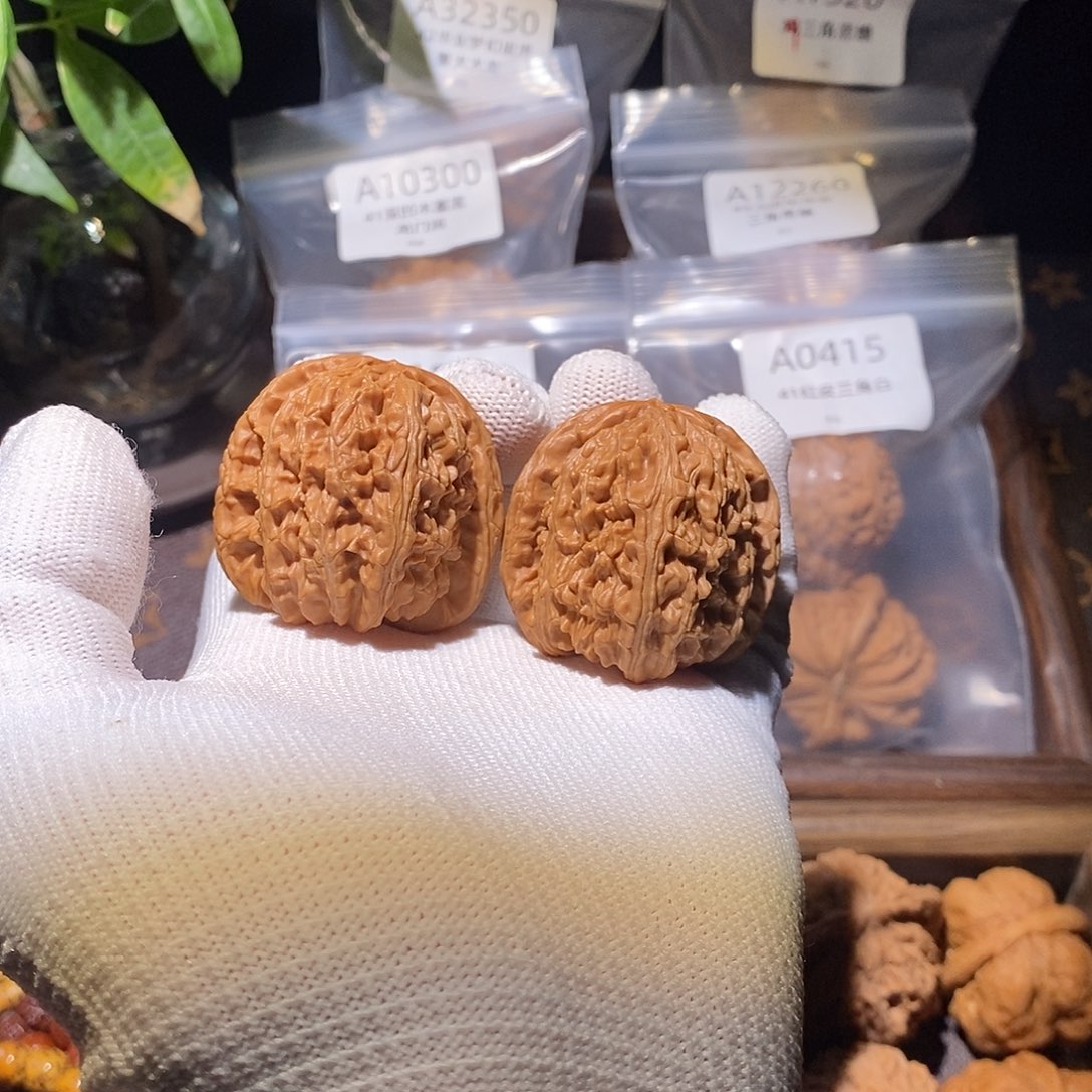 文玩核桃吊坠38白狮子微修打底