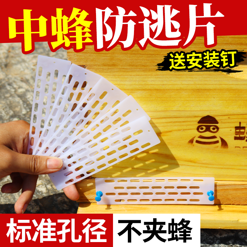 塑料蜂王防跑片中蜂专用防逃片蜜蜂箱巢门防盗隔王板送钉标准工具