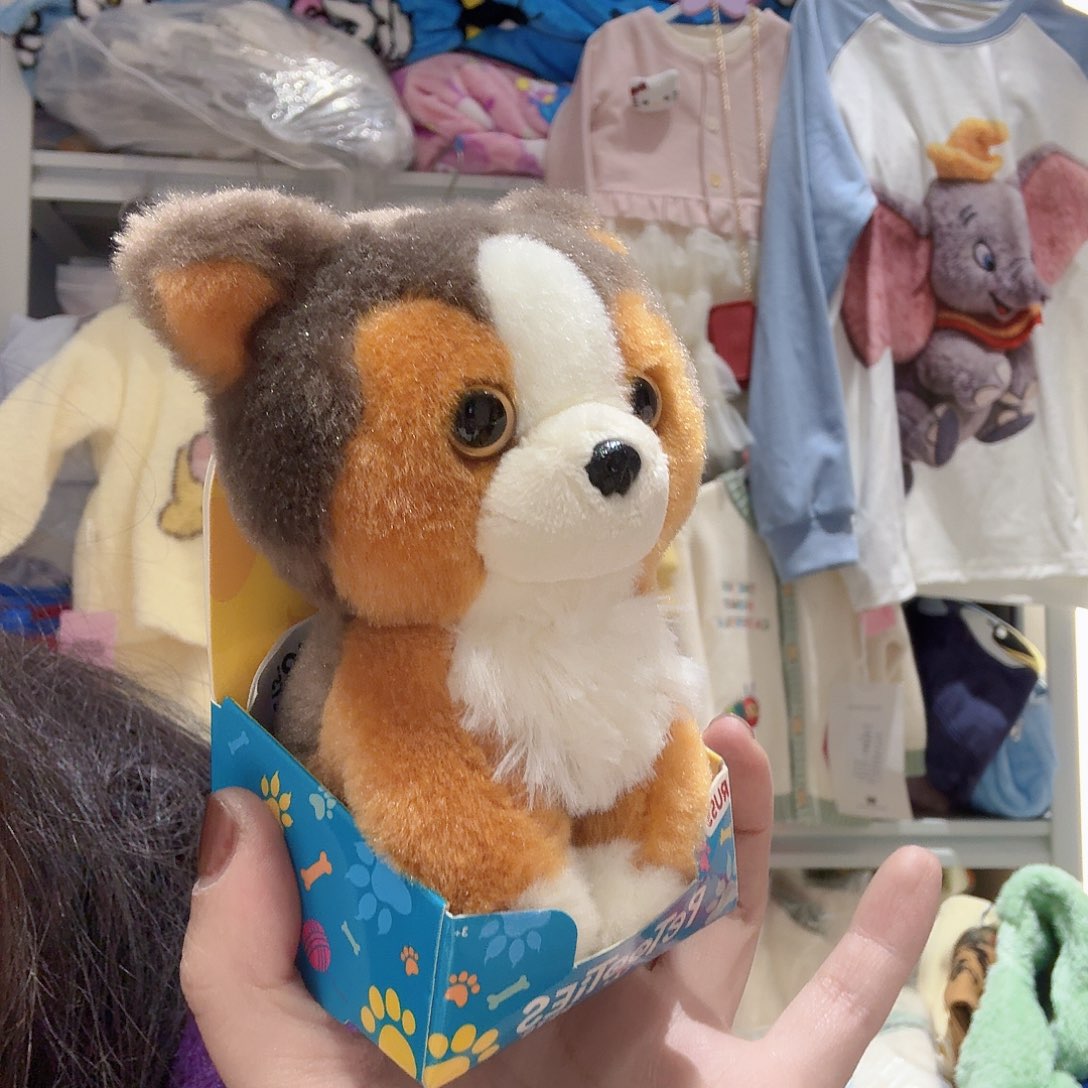 特价不退不换，美单