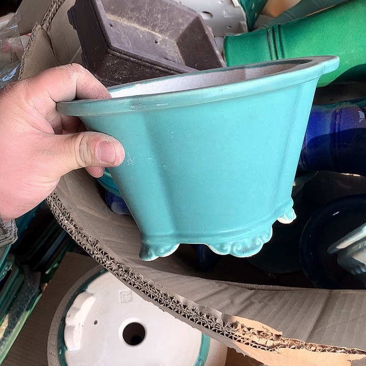 紫砂我要不明天要回家不