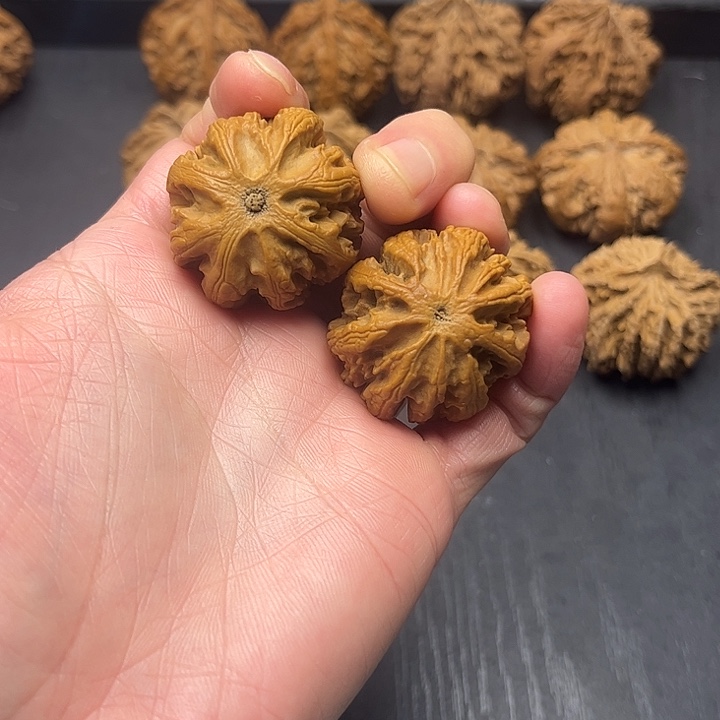 墨***帅核桃秦岭山脉中段怒江与澜沧江