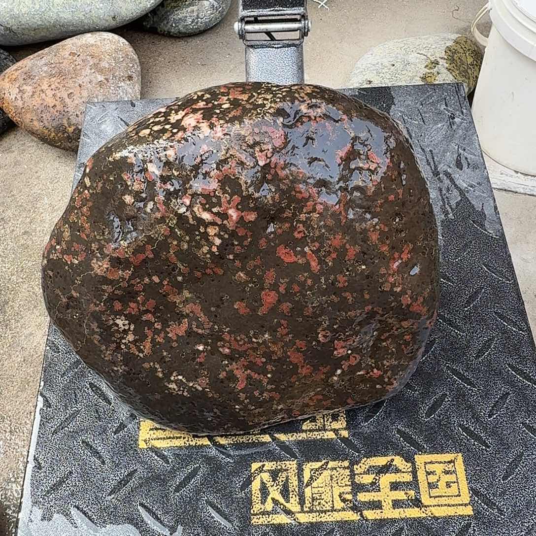 君***辉蛇纹石玉未镶嵌天然原石摆件藏玉西藏