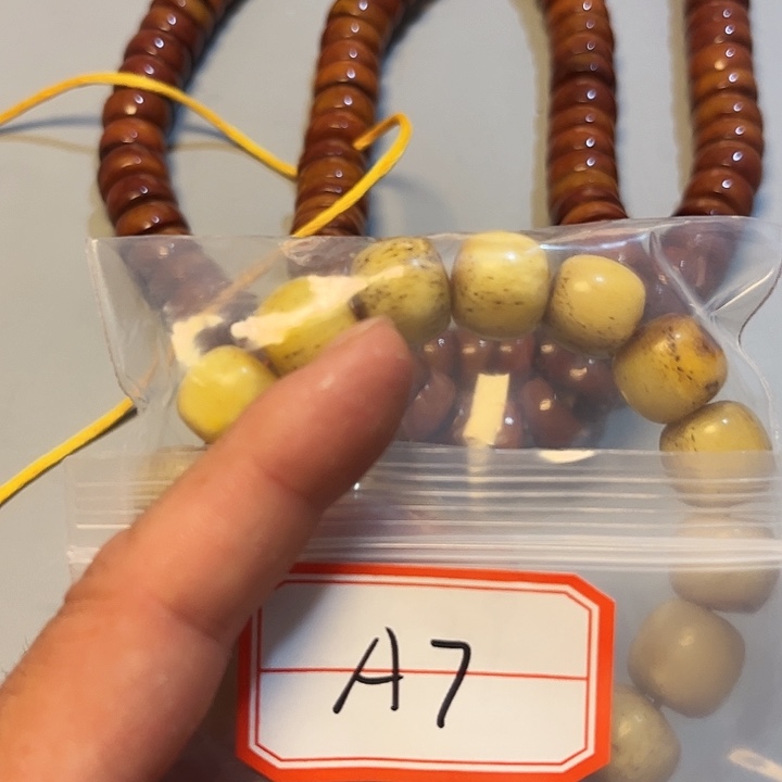 大果紫檀（缅甸花梨）