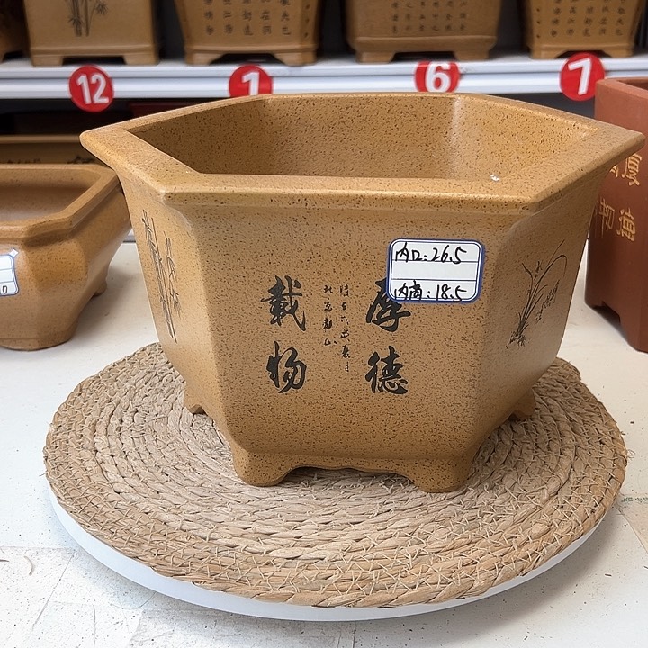 紫砂花盆蛇年大吉