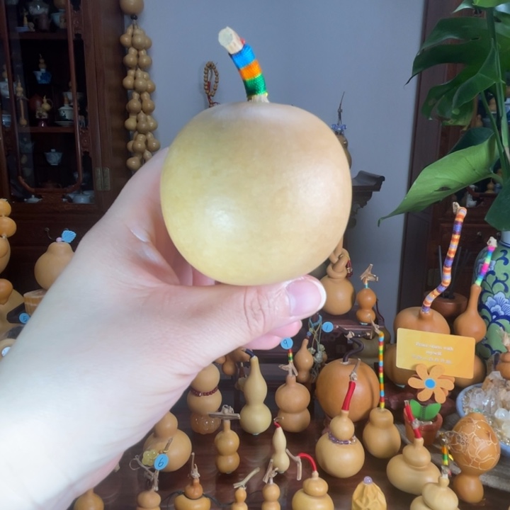 小苹果型葫芦胖胖