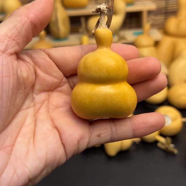 张*七葫芦葫芦葫芦葫芦葫芦葫芦