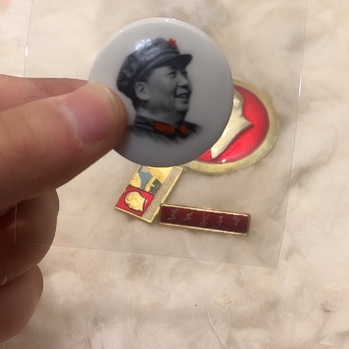 独***网一一一一一高贵轻扬吧、