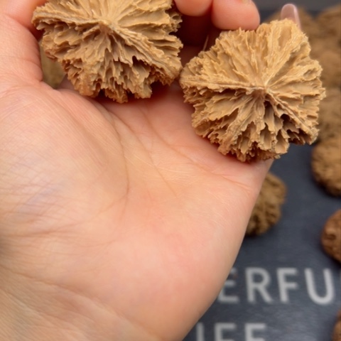 桃核吊坠秦岭野生