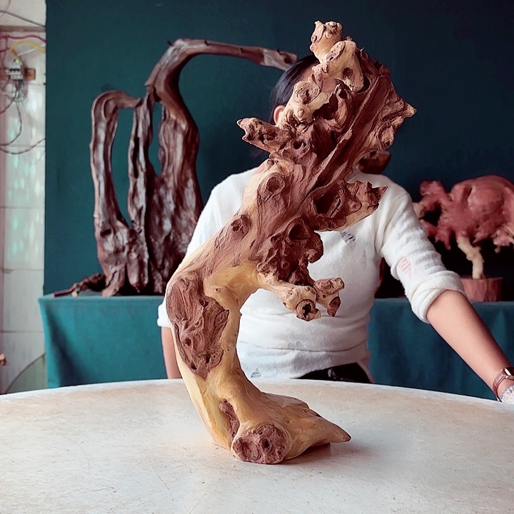 黑果木老*766金丝红木羊蹄甲半成品